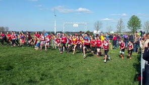 爱游戏体育在线-青少年体育锻炼促进策略与实践，青少年体育锻炼方案