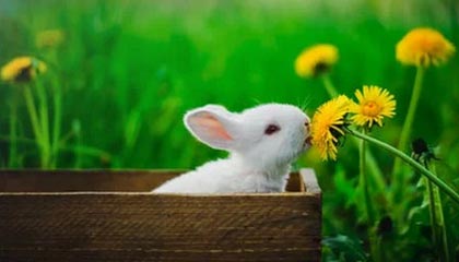 爱游戏真人体育娱乐-青年运动员成长环境持续优化，青年运动员成长环境持续优化措施