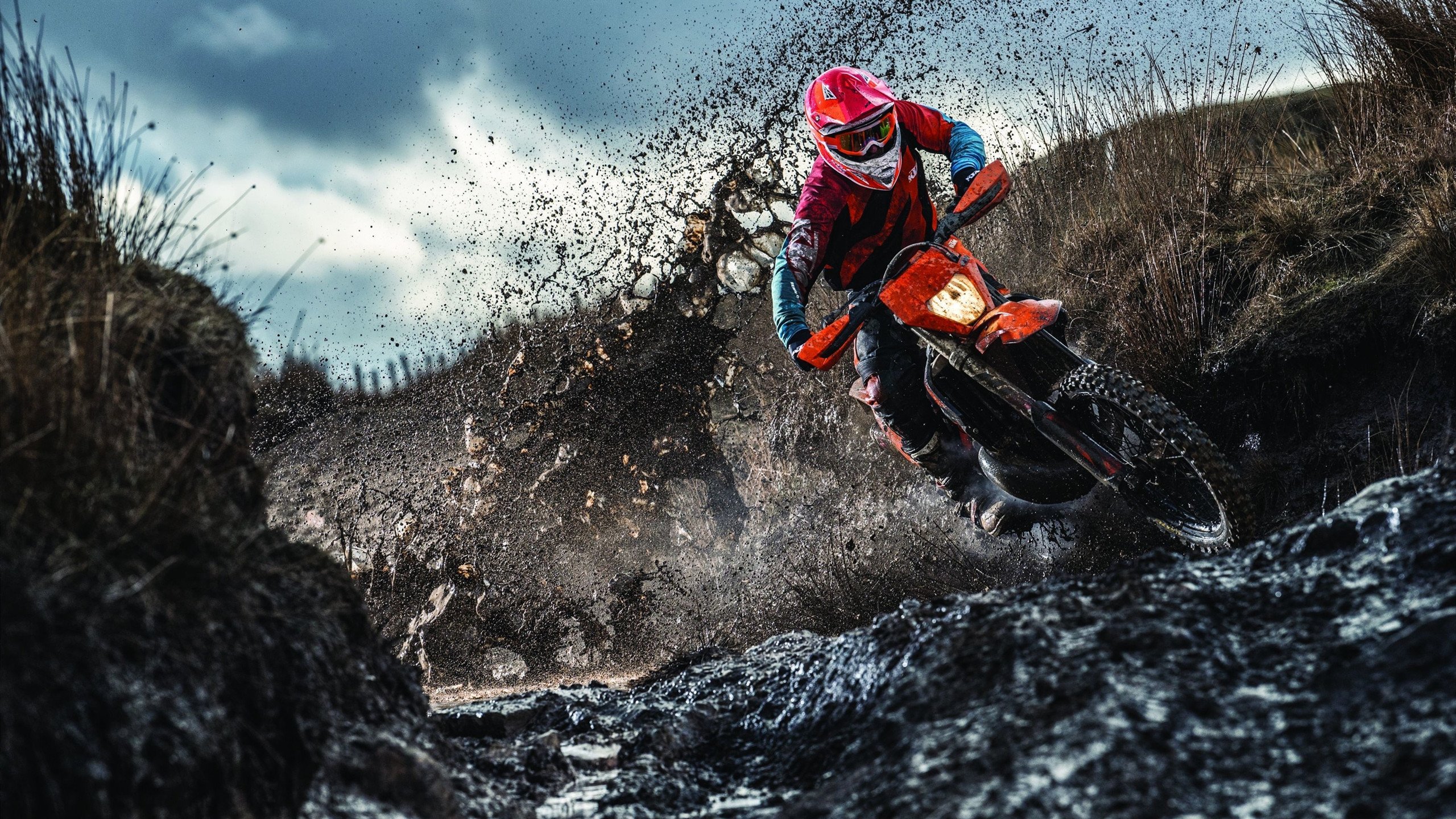 FIBA “Hoops For Green” 在阿尔及利亚举办环保篮球公益项目